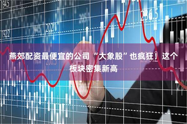 燕郊配资最便宜的公司 “大象股”也疯狂！这个板块密集新高