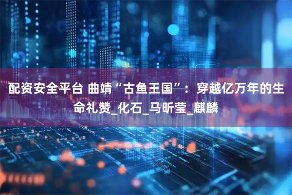 配资安全平台 曲靖“古鱼王国”：穿越亿万年的生命礼赞_化石_马昕莹_麒麟
